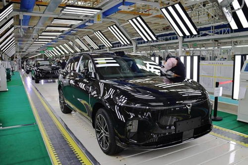 嵐圖汽車雙工廠火力全開，單日產能突破800輛，加速布局汽車市場